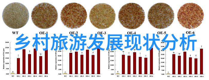 实验室设备-精确滤选实验室压滤机的应用与维护