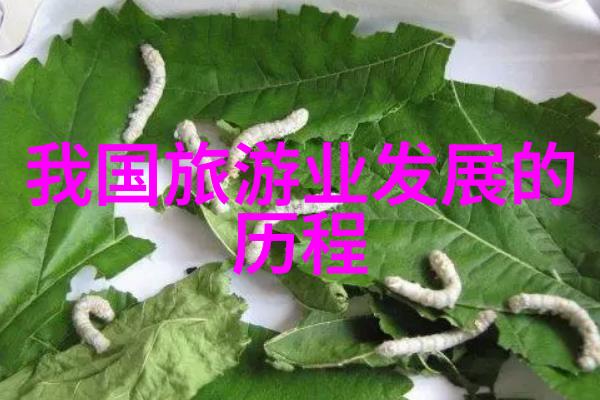 碧波荡漾生态保护红线下的自然赞歌