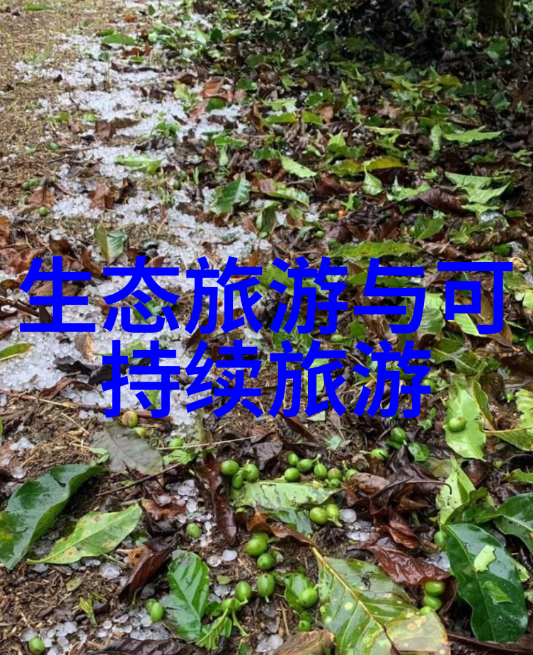 森林的代价兔子必需死的悲剧