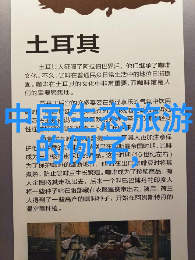 清洁艺术过滤器的美学展示