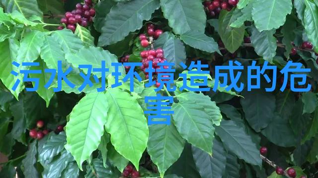 最新款鱼缸过滤器带您体验深圳的清新生活