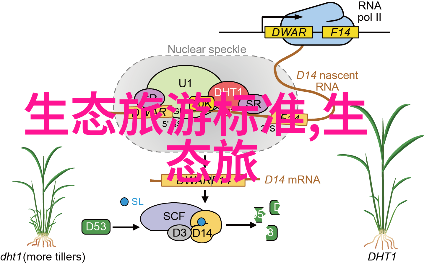 化学实验中过滤的仪器我是不是忘了拿回那个小水槽