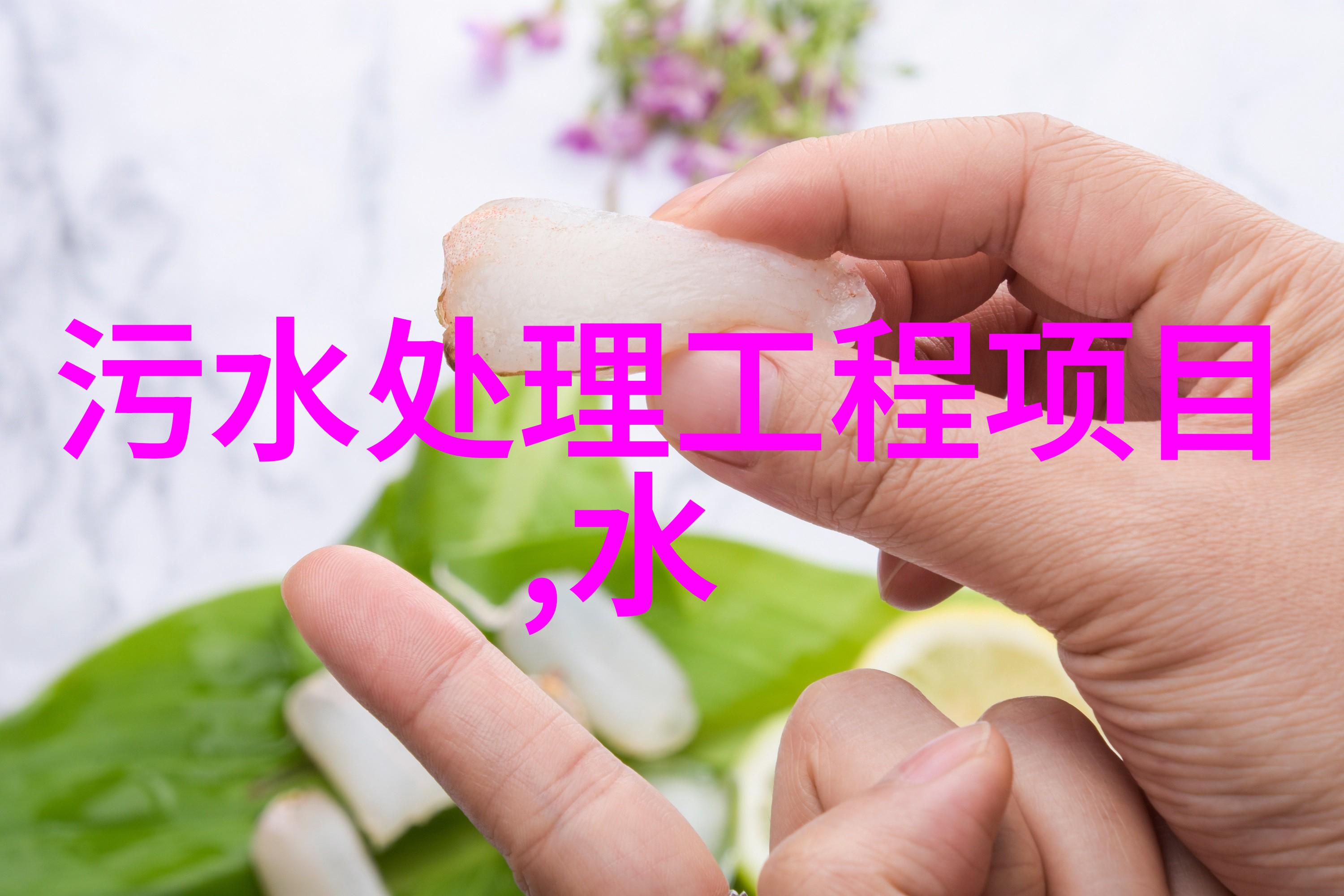 绿色食品的意境探索可持续发展与健康生活的新纪元