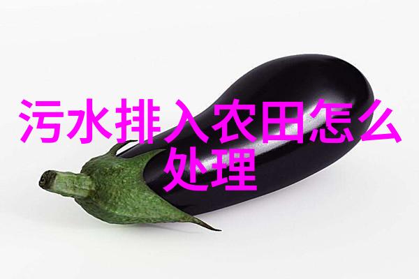 笑傲江湖中的风流人物黄药师的孤傲与深情