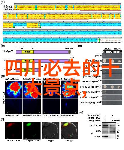 男人插曲视频大全免费网站全收录