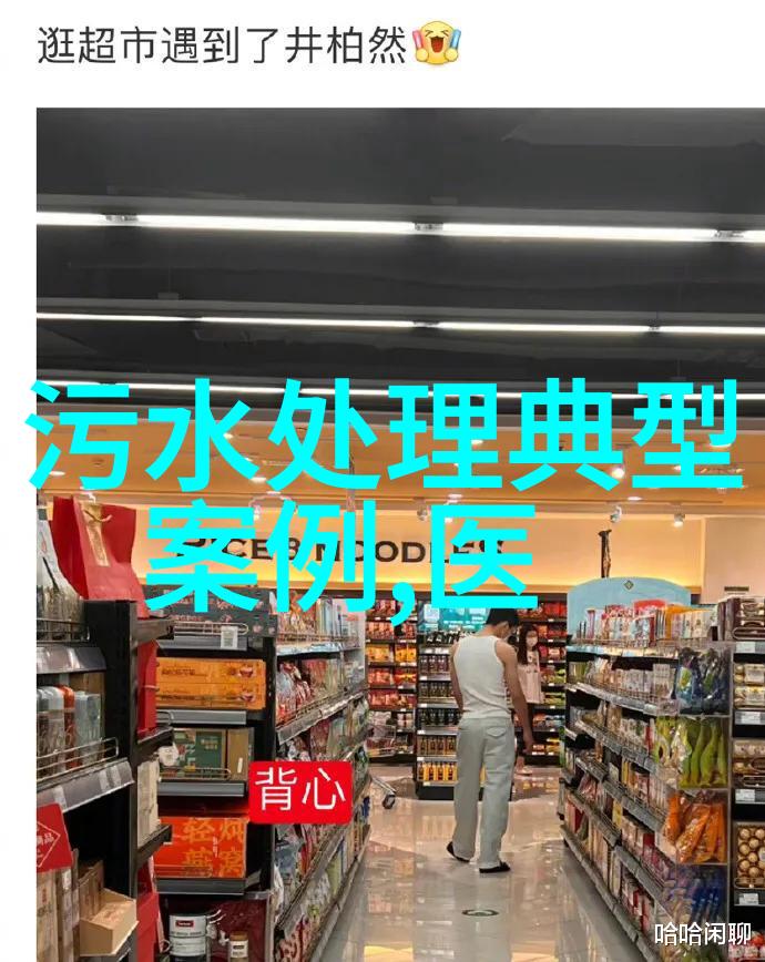 绿色治理新篇章环境税制的实施与效益