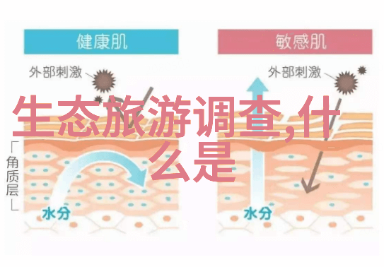 生态保护之旅绿色地球守护者