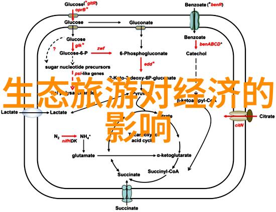 油烟净化器设备的技术革新与应用探讨