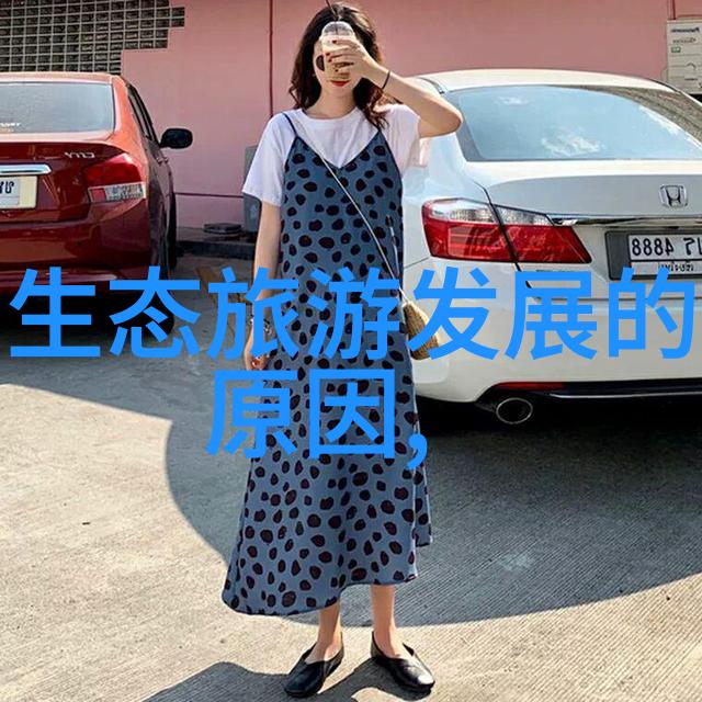 污水深渊揭秘那些被遗忘的净化之谜