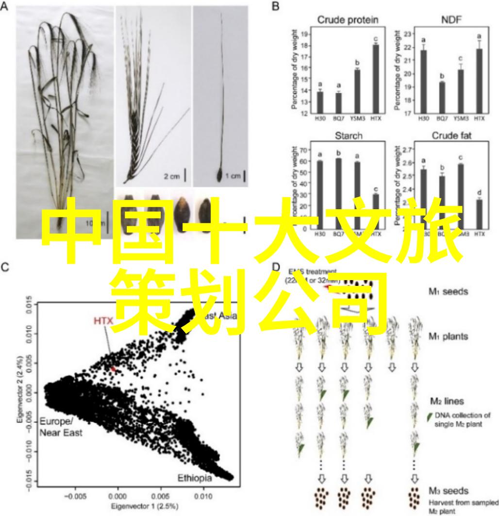 倡导低碳生活宣传文稿 - 绿色出行智慧选择共筑地球的未来