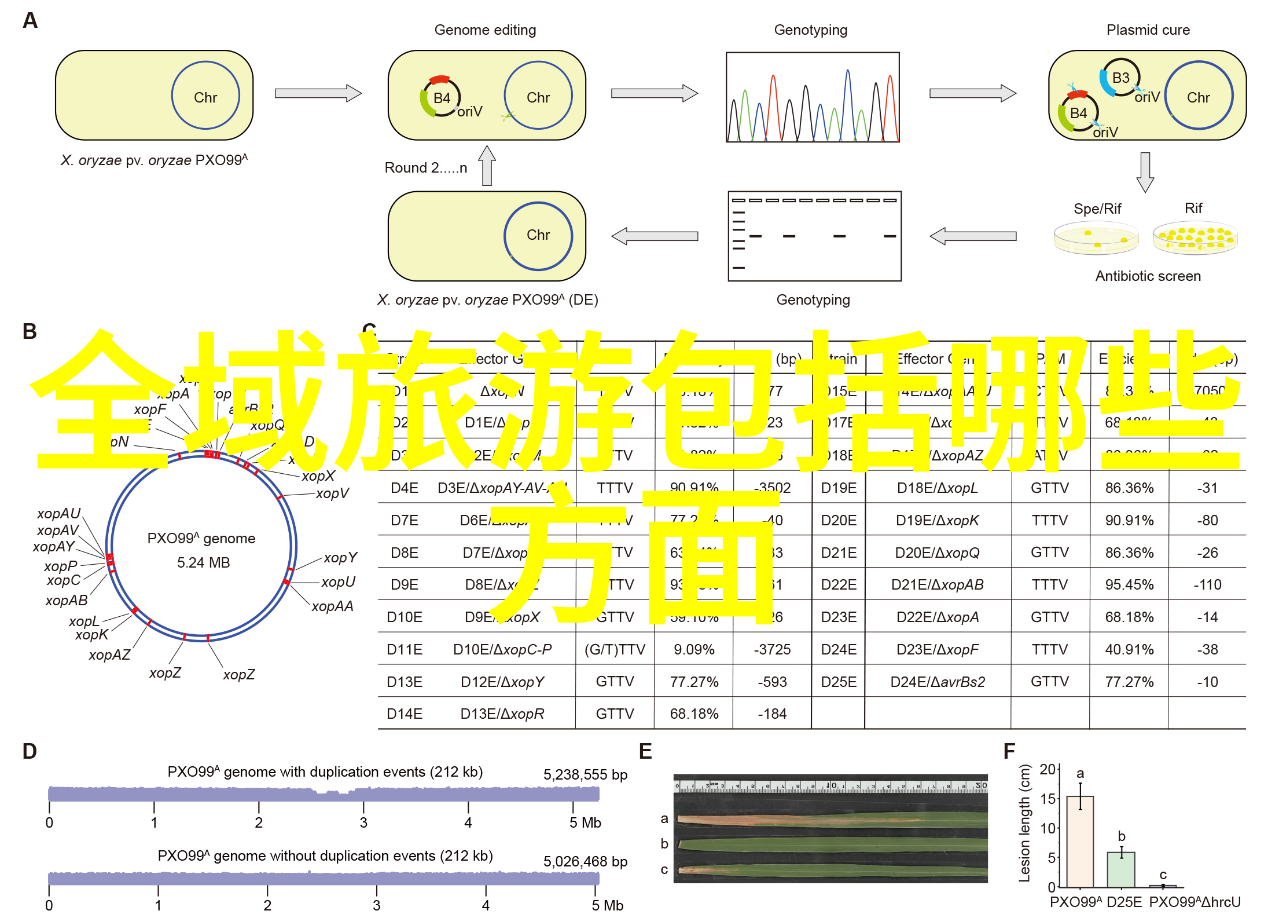 口碑爆款揭秘前置过滤器十大巨擘谁能让你的自拍变靓