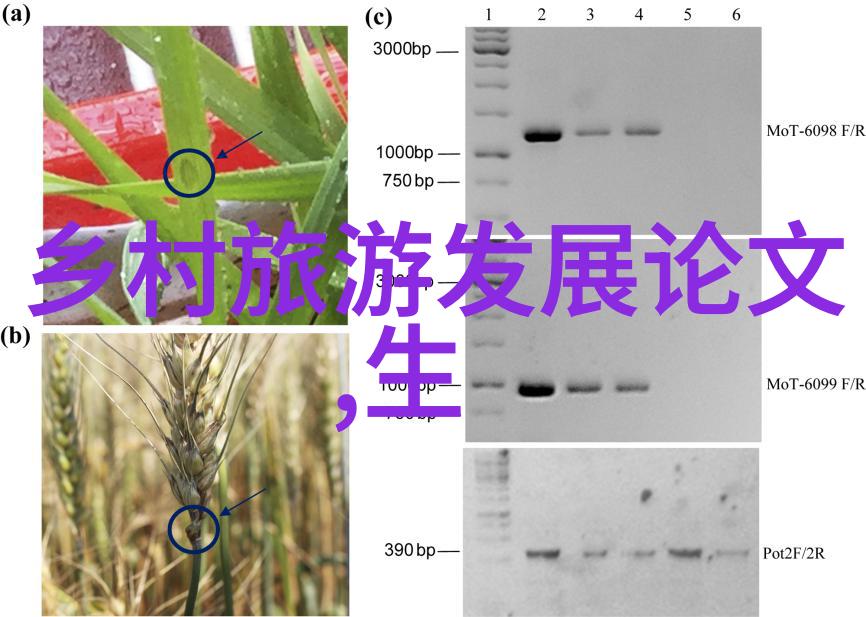 中效过滤技术袋式过滤器的核心优势