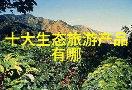 大别山发电2号机脱硝工程如同一位精通水墨之手轻描淡写地将食品废水的污渟变为清澈见底的溪流