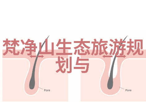 保护绿植的意义我为什么要守护那些小小的绿色朋友