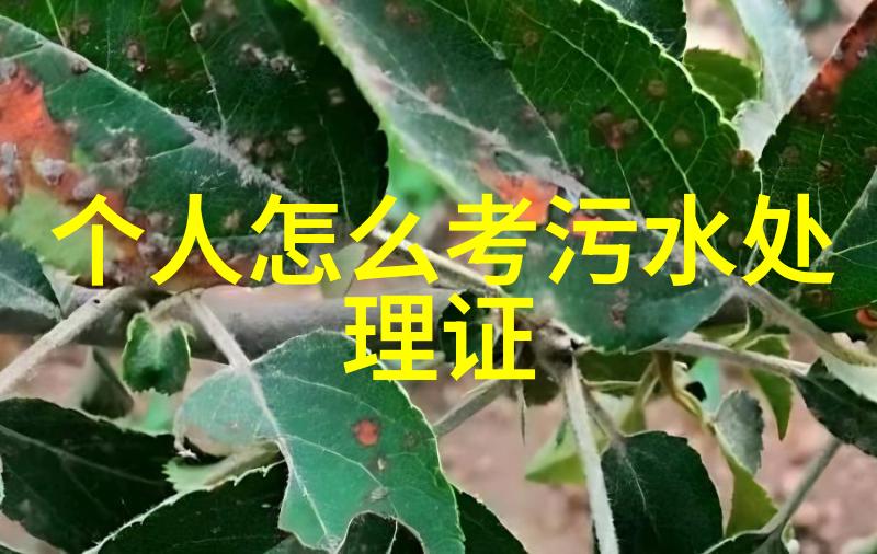 如何有效掌握全球气候变化的地理背景知识