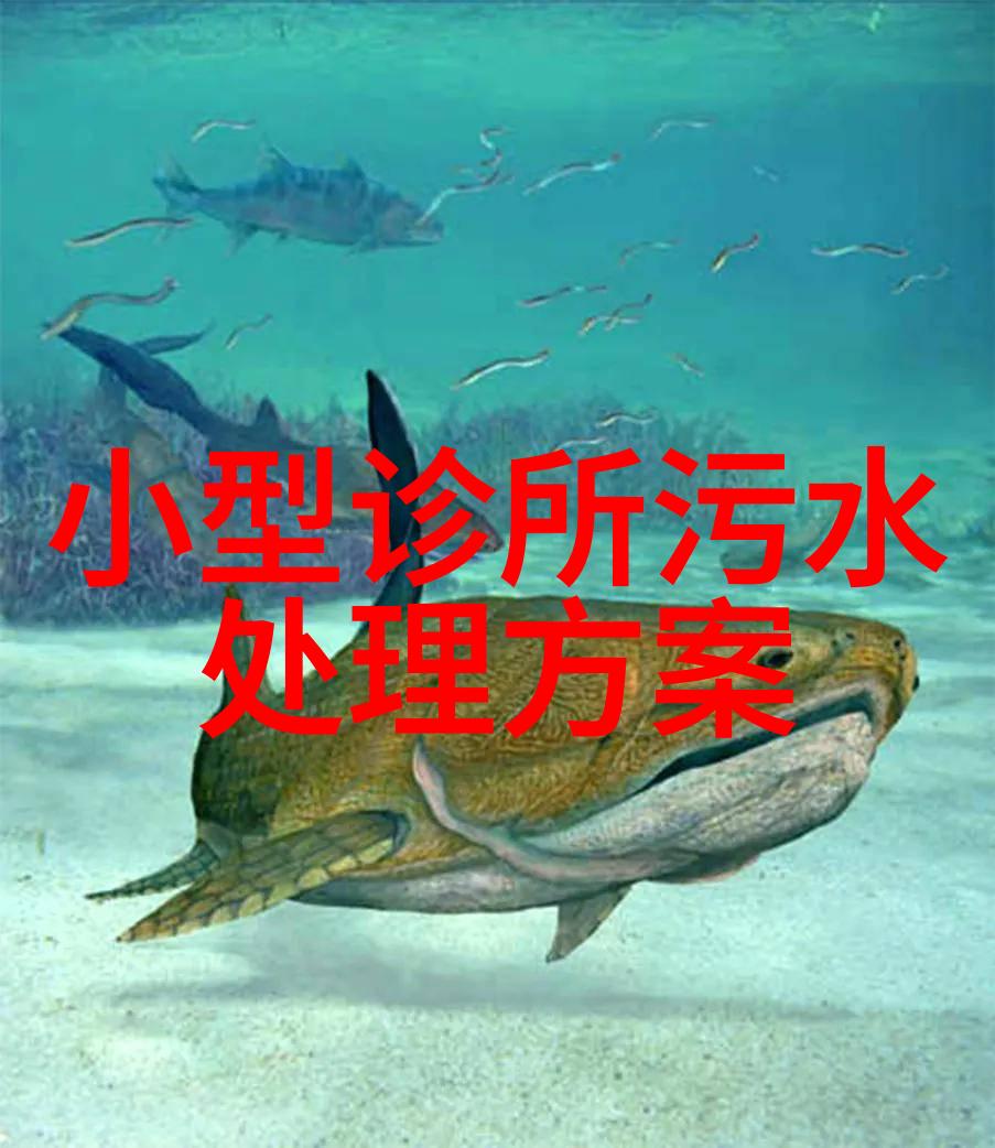 乡村水患污水治理的新篇章