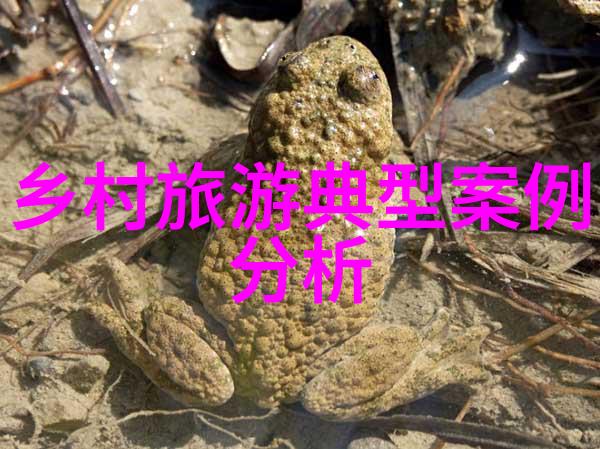 在城市规划中融入绿色交通系统的必要性与方法