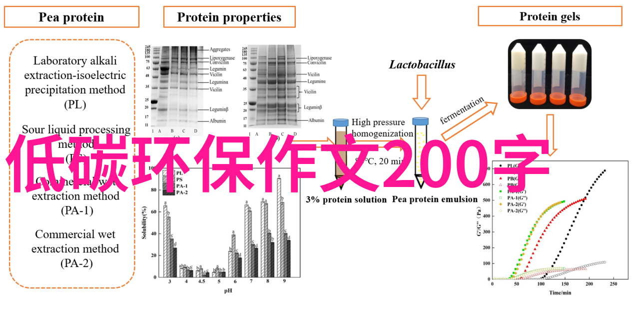 供水管道过滤器的类型有哪些