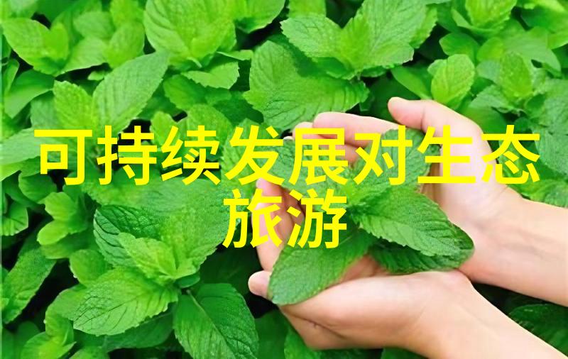 绿色出行电动车与自行车的节能优势