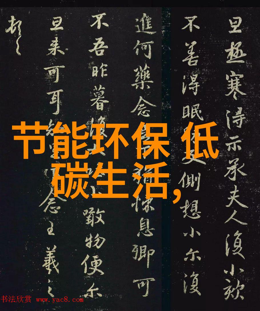 黄河生态保护社会实践报告 - 黄河之光绿色行动与生态和谐的实践探索