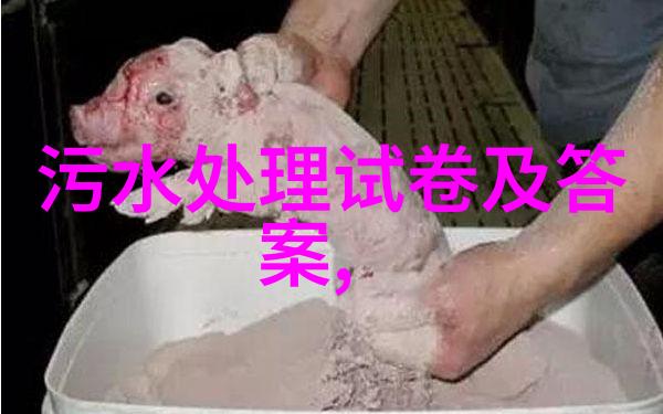 生命珍贵论生存哲学与伦理探究