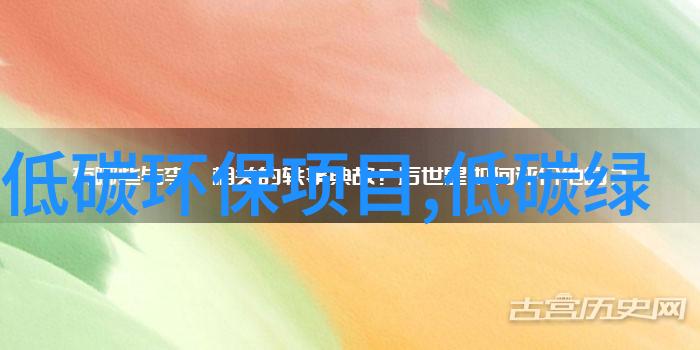 穿越年代文中的男主小后妈古风家族的温柔女继承人