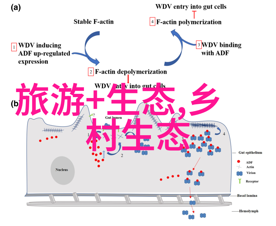 人类破坏自然的后果深远我们该如何改变