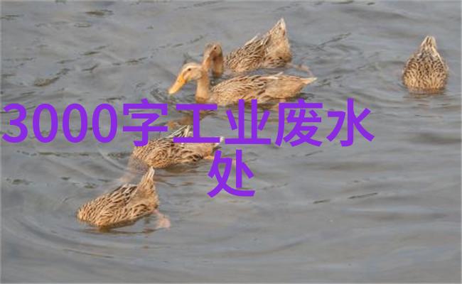 上海环境监测系统技能竞赛在自然生态场景中展开五大自然生态系统的保护生命线被紧密守护