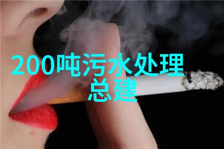 在全球范围内环保组织是如何通过环境监测促进可持续发展的