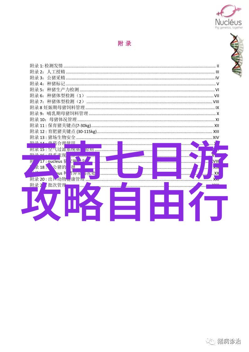 管道清淤技术高效管道清洁解决方案