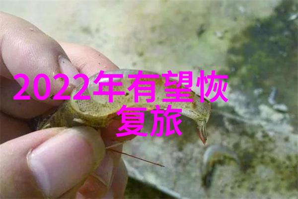 大别山发电2号机脱硝工程如同一位守护者成功抵御了污染的毒手保护地下水的清澈无瑕