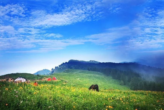 中国生态旅游市场_中国的生态旅游_中国十大生态旅游景区/