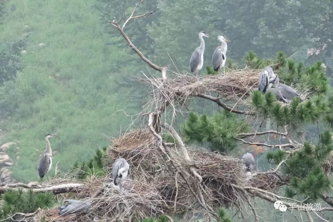 中国的生态旅游_中国十大生态旅游景区_中国生态旅游市场/