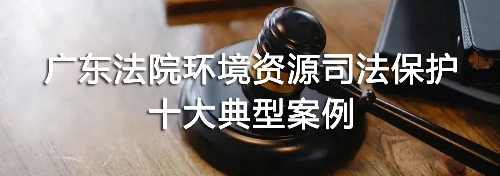 广东高院发布环境资源司法保护十大典型案例