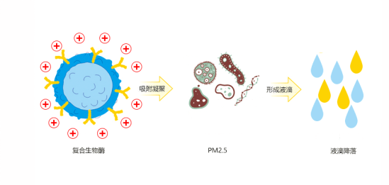 大气治理_大气治理技术的主要方法_大气治理措施/