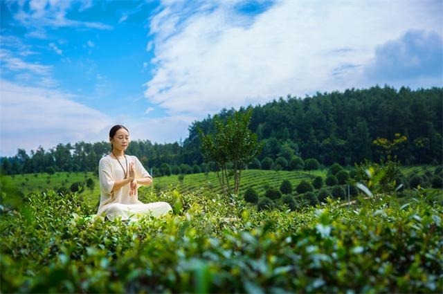 贵州生态旅游政策有哪些_贵州生态旅游政策解读_十四五贵州对生态旅游的政策/