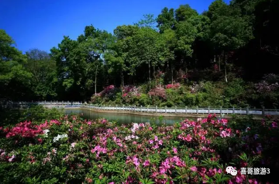 自驾广西旅游攻略必去景点_广西自驾游必去的10个景点_自驾景点广西游去旅游攻略