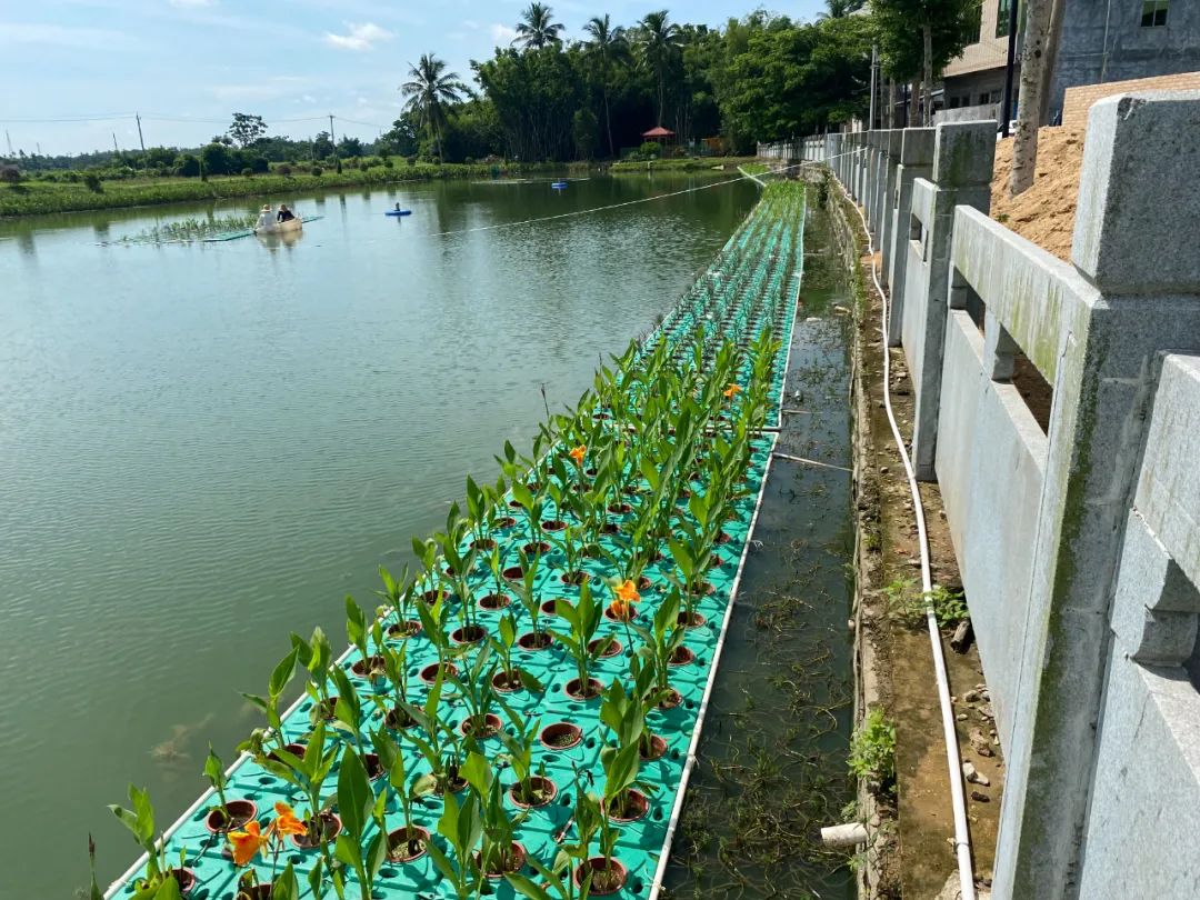 污水治理新兴技术大致包括几种_污水治理_污水治理方法有哪些