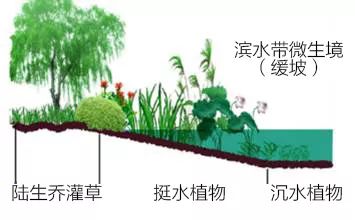 生态环境修复技术_生态修复环境技术有哪些_生态修复环境技术方案