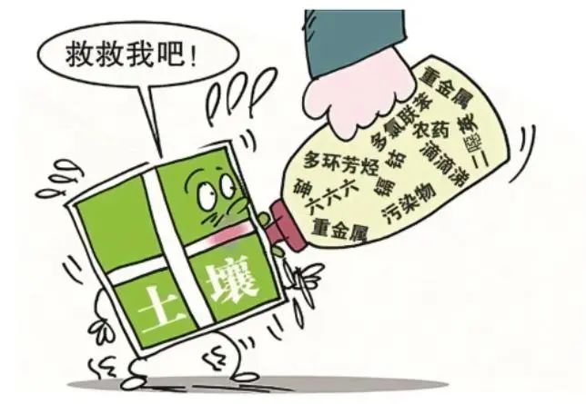 生态环境修复技术_生态修复环境技术方案_生态环境修复技术是干什么的