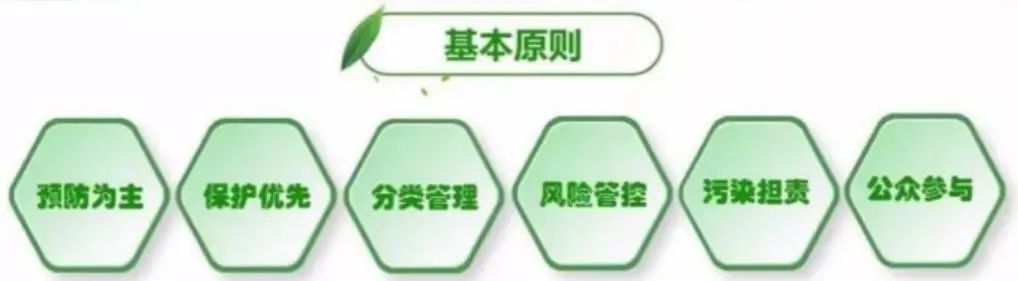 生态环境修复技术_生态修复环境技术方案_生态环境修复技术是干什么的