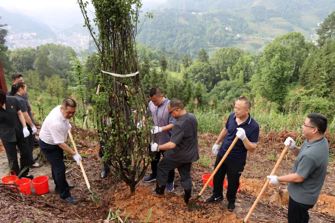 修复环境英语_环境修复_修复环境污染