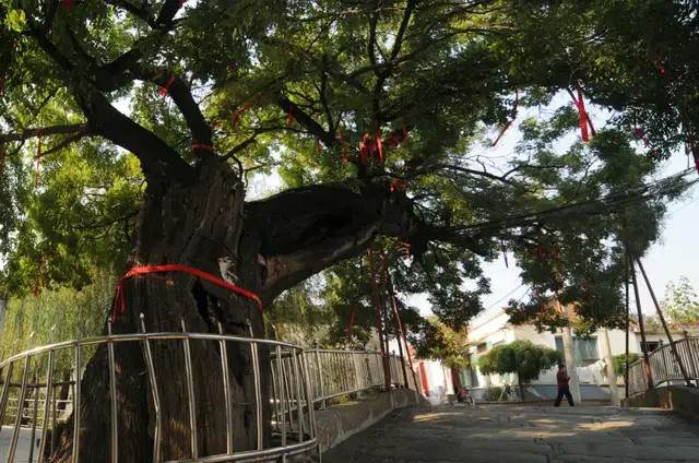 生态房产_生态房的主题元素有哪些_房干生态旅游区