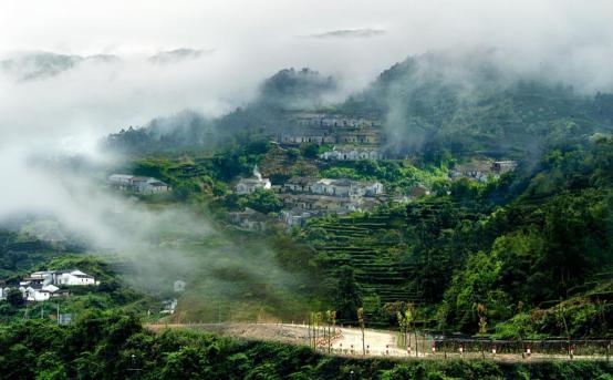 生态旅游的五大类型是_生态类型旅游是什么_生态旅游的类型