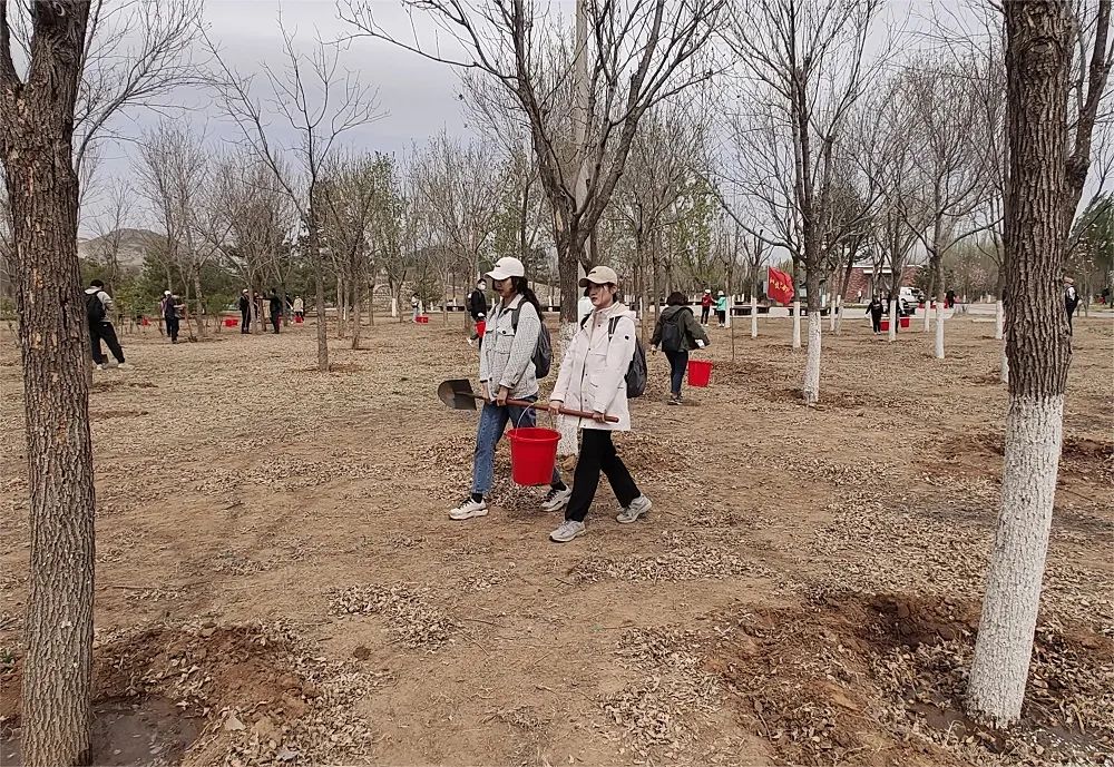 植树问题_植树活动_植树