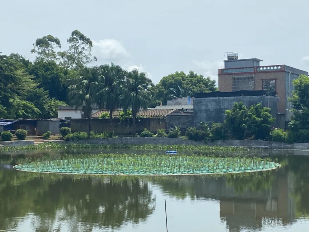 污水治理新兴技术大致包括几种_污水治理_污水治理方法有哪些