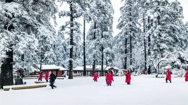 玉龙雪山旅游开发有限公司_玉龙雪山项目介绍_玉龙雪山生态旅游发展