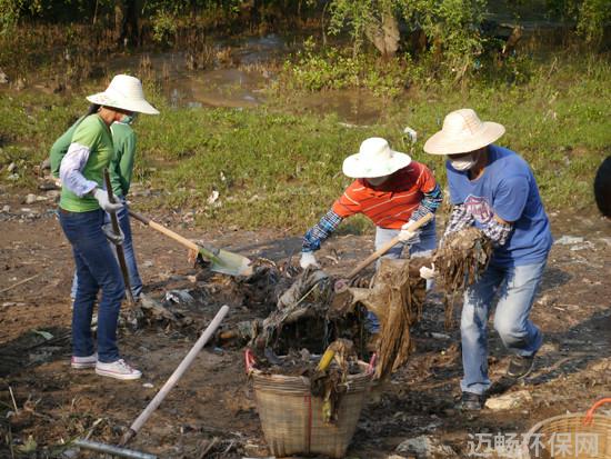 保护红树林共建美丽珠海百名外企义工志愿者清理海洋垃圾30多吨